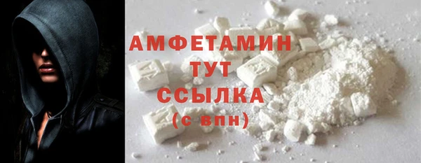 дживик Пересвет
