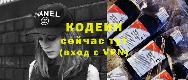 дживик Пересвет