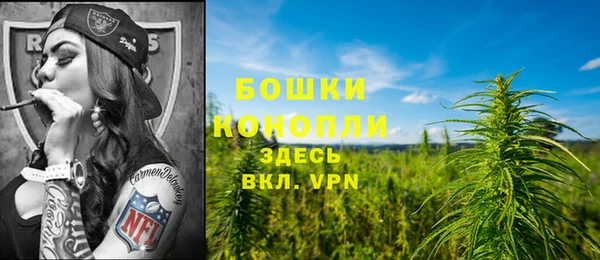 дживик Пересвет