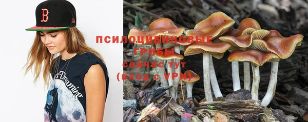дживик Пересвет