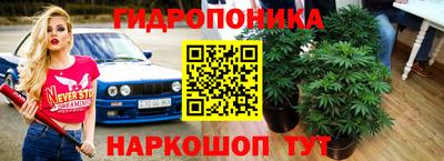 мяу мяу мука Волжский