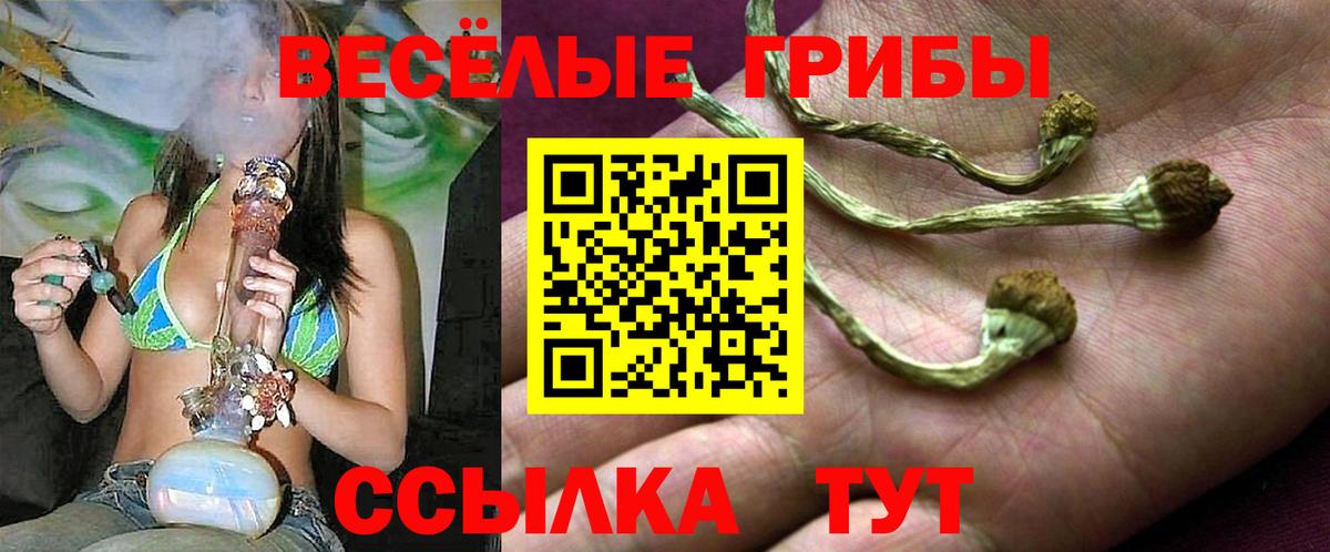 Йошкар-Ола  Псилоцибиновые грибы Cubensis  Вход с VPN  Галлюциногенные грибы мицелий 